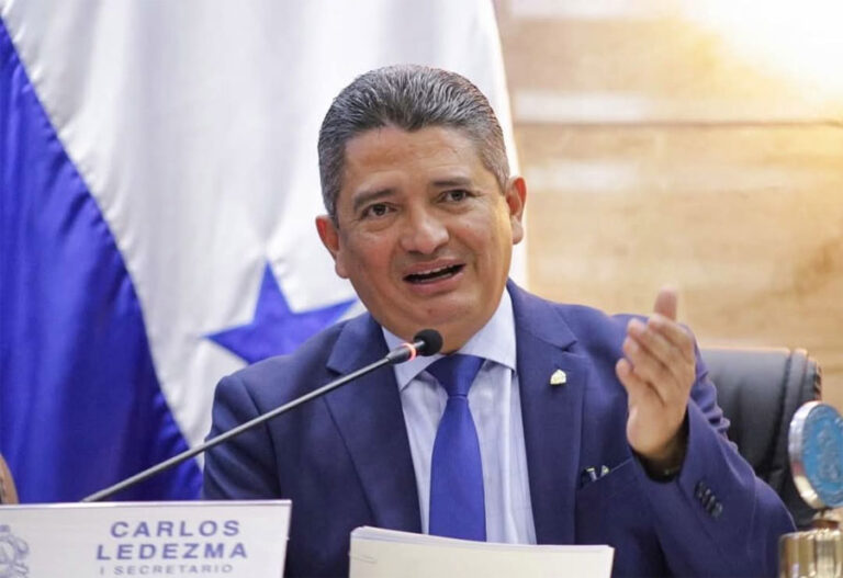 Congreso impulsa diálogo para aprobar reformas al sistema eléctrico, afirma Carlos Ledezma