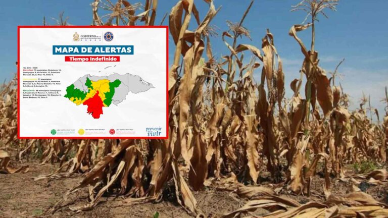 Copeco declara alertas por sequía en 234 municipios de Honduras