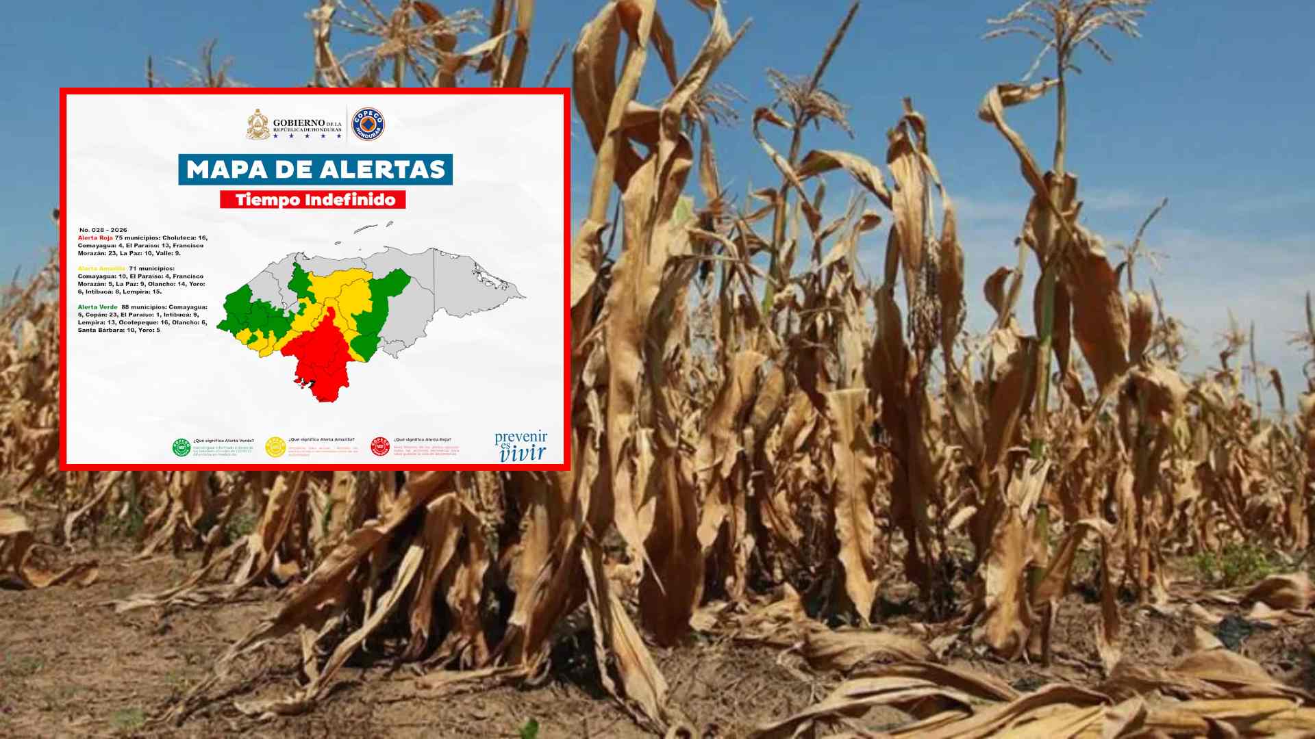 Copeco declara alertas por sequía en 234 municipios de Honduras
