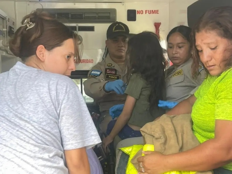 Enjambre de abejas ataca a familia en colonia de Tegucigalpa; un niño hospitalizado