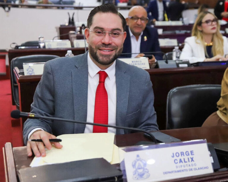 Jorge Cálix asegura que bancada liberal está lista para debatir reforma del subsector eléctrico
