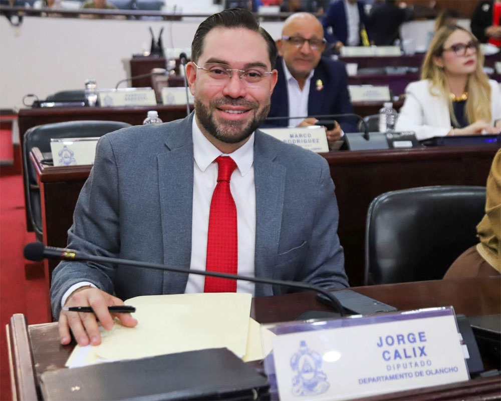 Jorge Cálix asegura que bancada liberal está lista para debatir reforma del subsector eléctrico