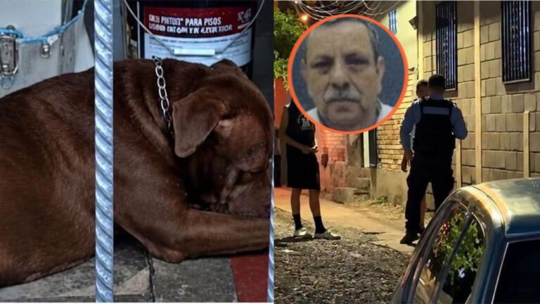 Pitbull ataca en Hato de Enmedio y deja un adulto mayor muerto y su hijo herido