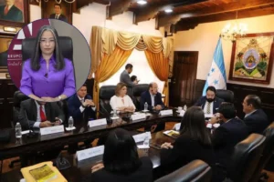 Gabriela Castellanos cuestiona presunta aplicación selectiva de la justicia en Honduras